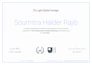do skillfully google ads audit and optimization for increase sales and leads